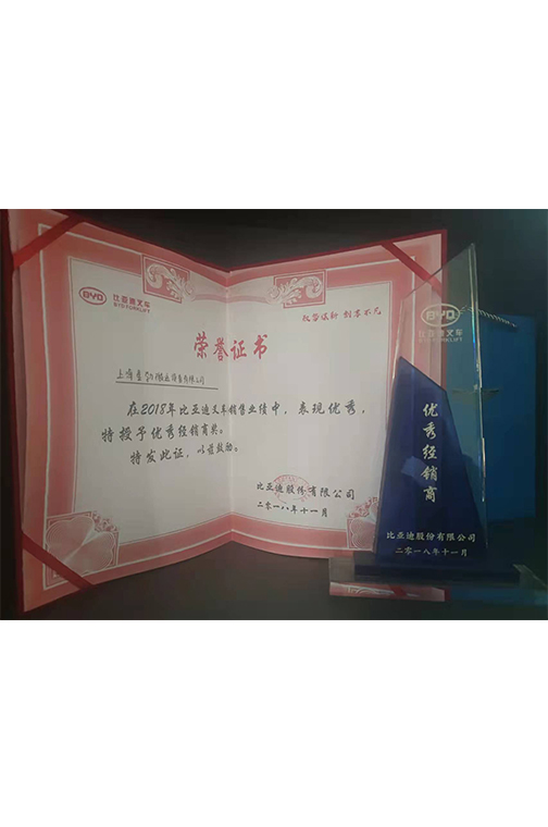 乐清市比亚迪2018优秀经销商