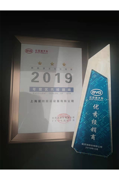 乐清市比亚迪2019优秀经销商